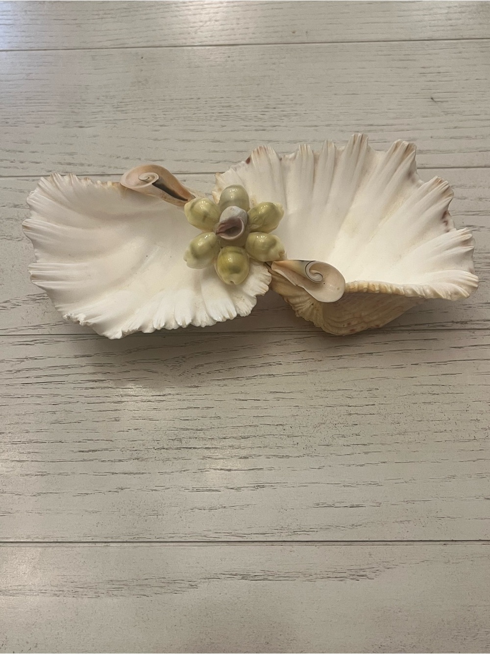 Seashell Decorative Bowl/Trinket Dish Coastal Decor